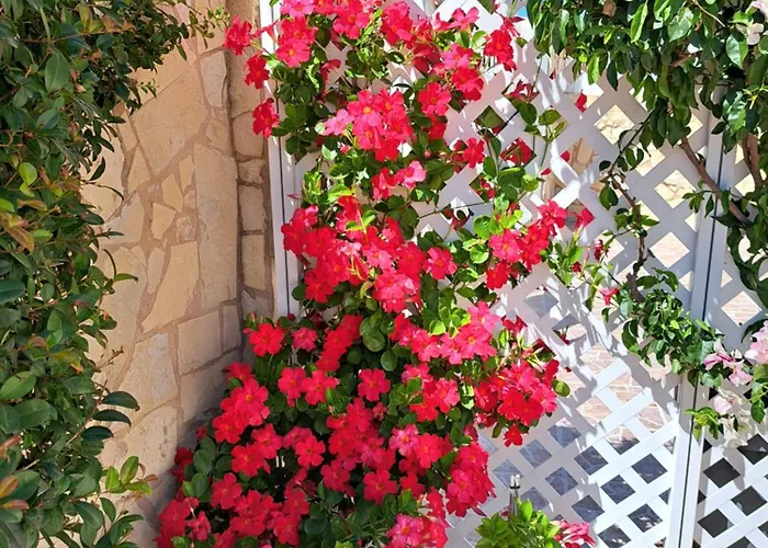 Mariamar Semesterbostad