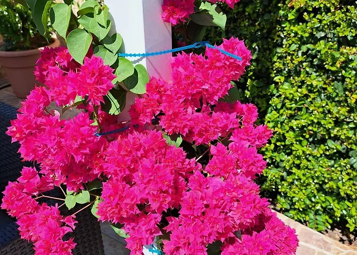 Vakantiehuis Mariamar *